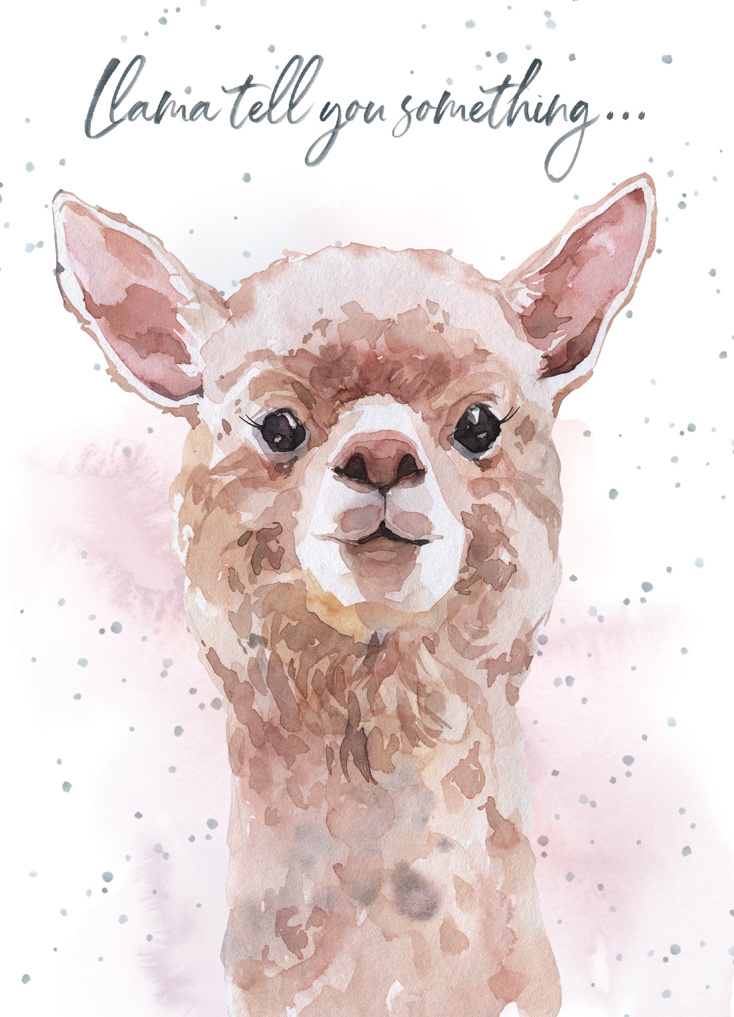 Llama birthday